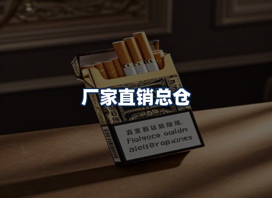 专业团队办公环境